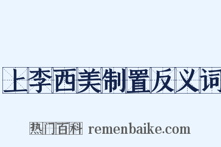 上李西美制置反义词是什么意思的图片